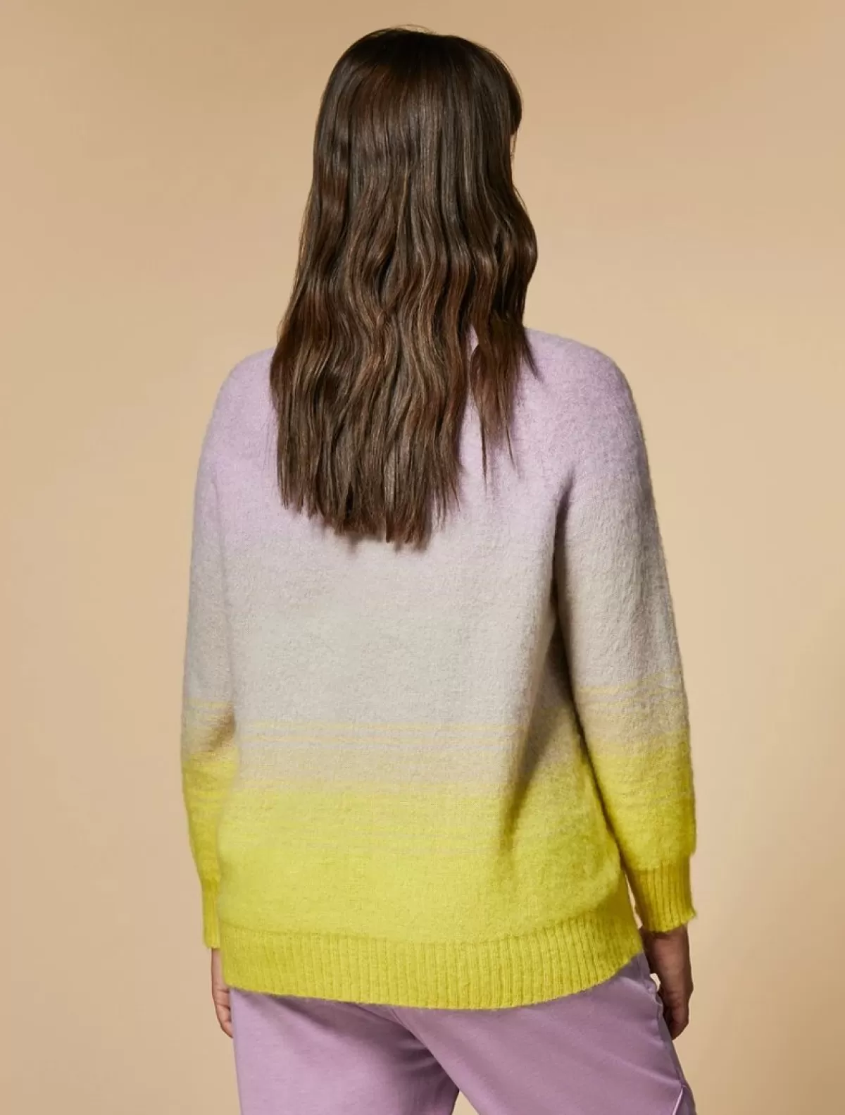 Pull En Mohair Melange<Marina Rinaldi Discount